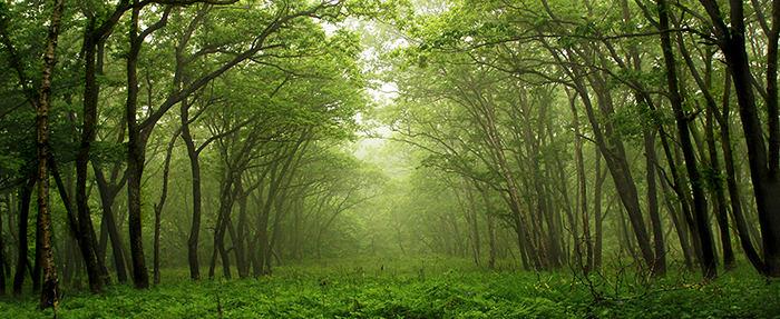 Christian Retreats Ontario | Spiritual Healing Retreats - Singing Waters